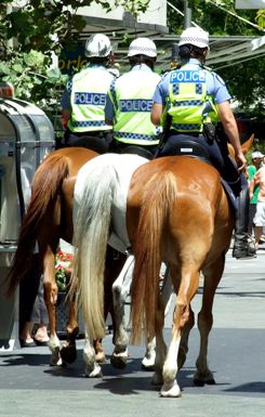 Featured are a trio of law enforcement officers ... specifically, mounted police ... from "Down Under".  Photo by Adrian van Leen of Perth, Australia.